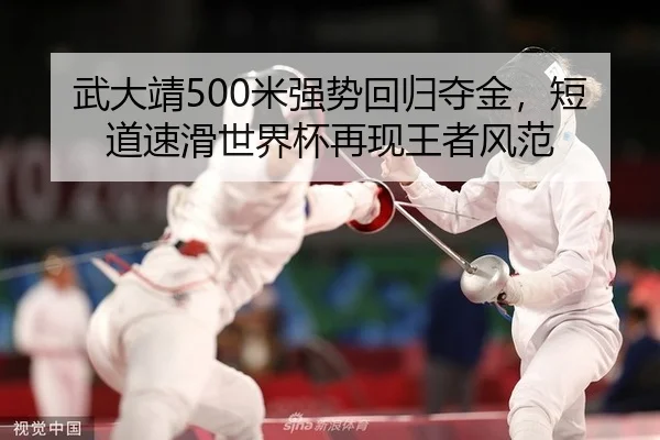 武大靖500米强势回归夺金，短道速滑世界杯再现王者风范